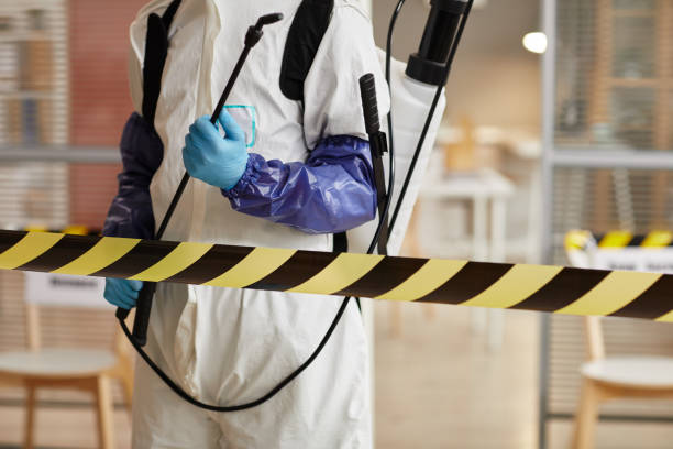 Professional Hoarding Cleanup technician working in Beach City, TX